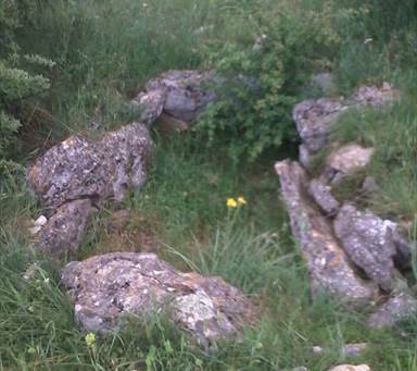 L’incuria nella necropoli di San Magno