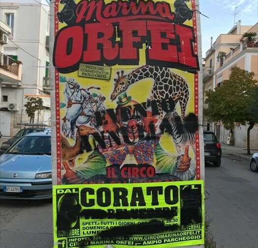 Vernice spray sui manifesti per boicottare il circo Marina Orfei