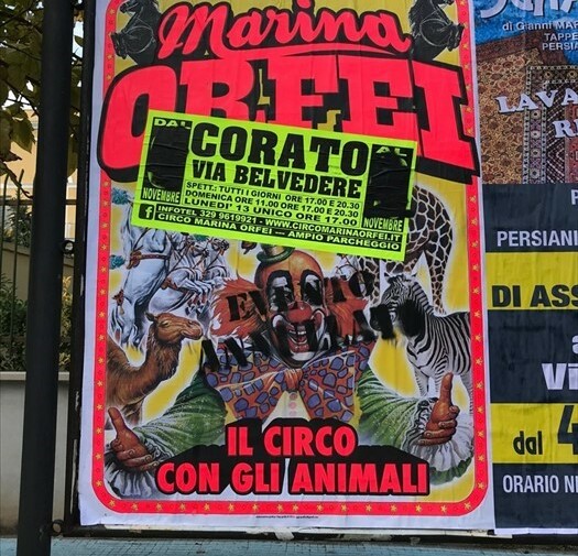 Vernice spray sui manifesti per boicottare il circo Marina Orfei