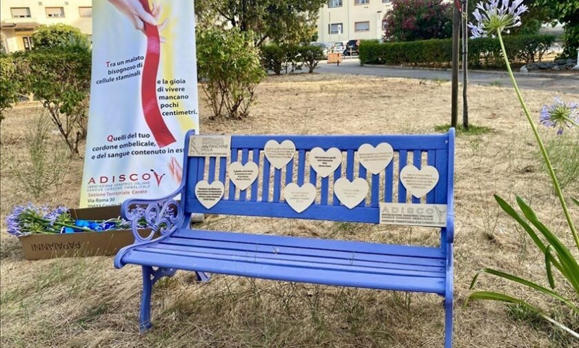 Una panchina viola simbolo di gentilezza: il dono dell'Adisco all'ospedale di Corato
