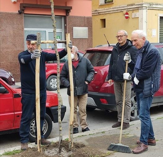 Legambiente e i residenti piantano quattro nuovi alberi in piazza Ospedale
