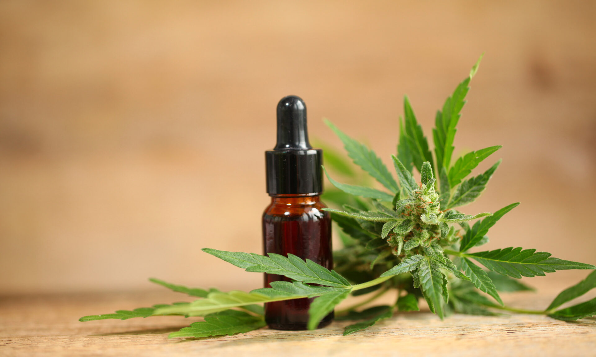 Cannabis legale, cos’è e quali caratteristiche possiede