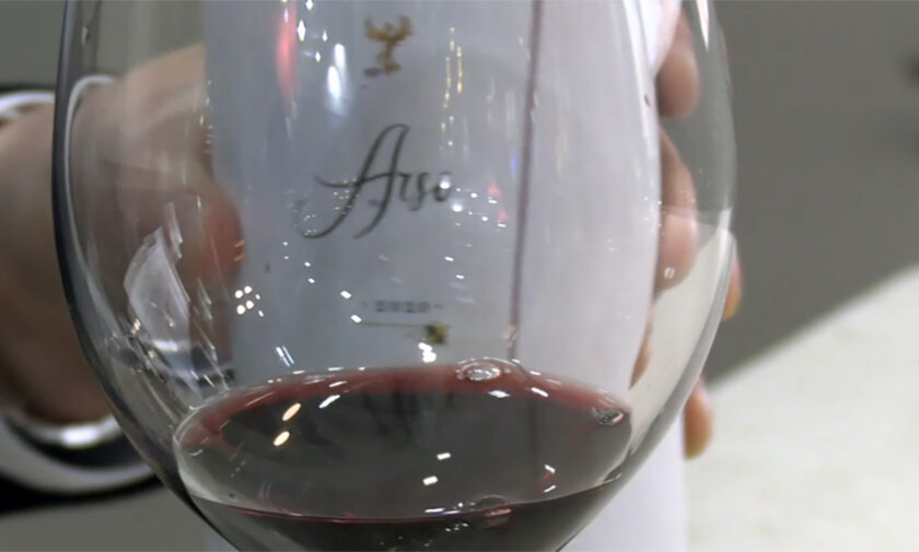 Arso, il vino più costoso del Sud nasce a Castel del Monte