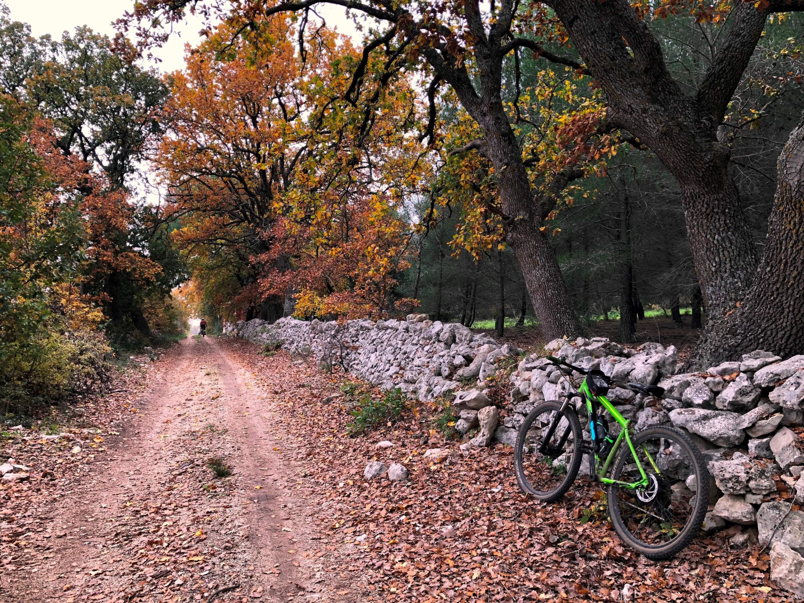 La Murgia d’autunno, un affresco dalle tinte cangianti