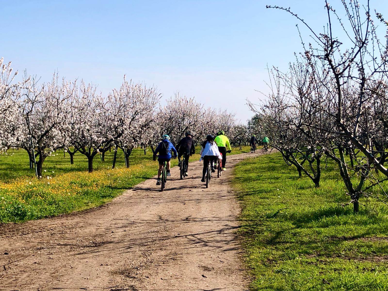 Una pedalata tra i mandorli in fiore per andare incontro alla primavera