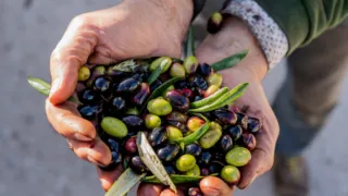 Agricoltura in crisi, Fratelli d’Italia incontra i produttori: «Servono interventi straordinari»